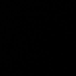 Meet your Posher, Alisha